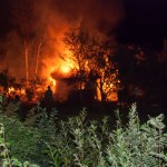 Пожар на Мшинской в садоводстве Озон