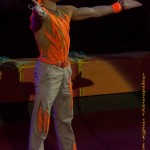 Цирк на Фонтанке воздушные гимнасты – Мещановы