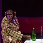 Цирк на Фонтанке «Сценка в ресторане» дрессура обезьян – А.Теплыгин