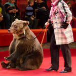 Дрессированные медведи Виктора и Ольги Кудрявцевых